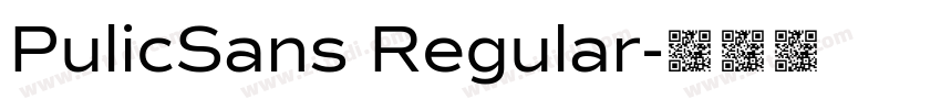 PulicSans Regular字体转换